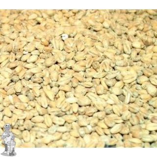 Torrified Wheat ( Thomas Fawcett & Sons) 3.8 EBC     5 KG